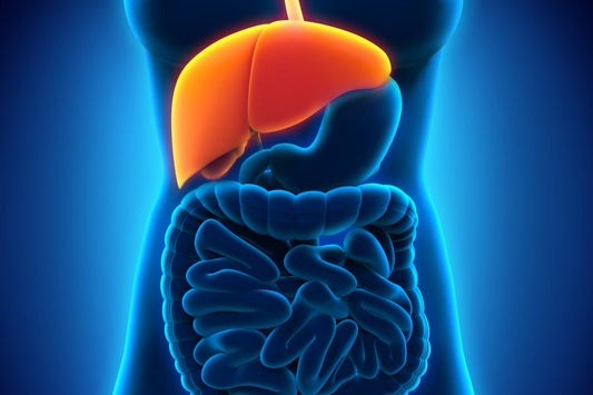 8 TOP foods to "cleanse" your liver